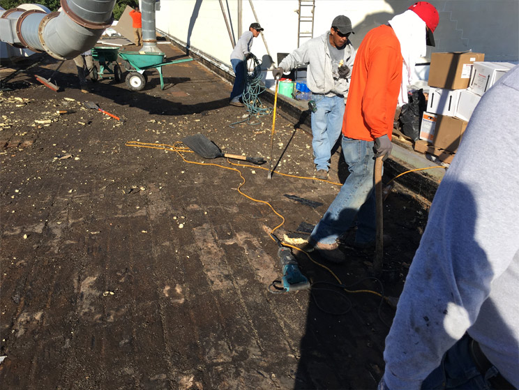 flat-roof-repair-subsection-3 flat-roof-repair-subsection-3